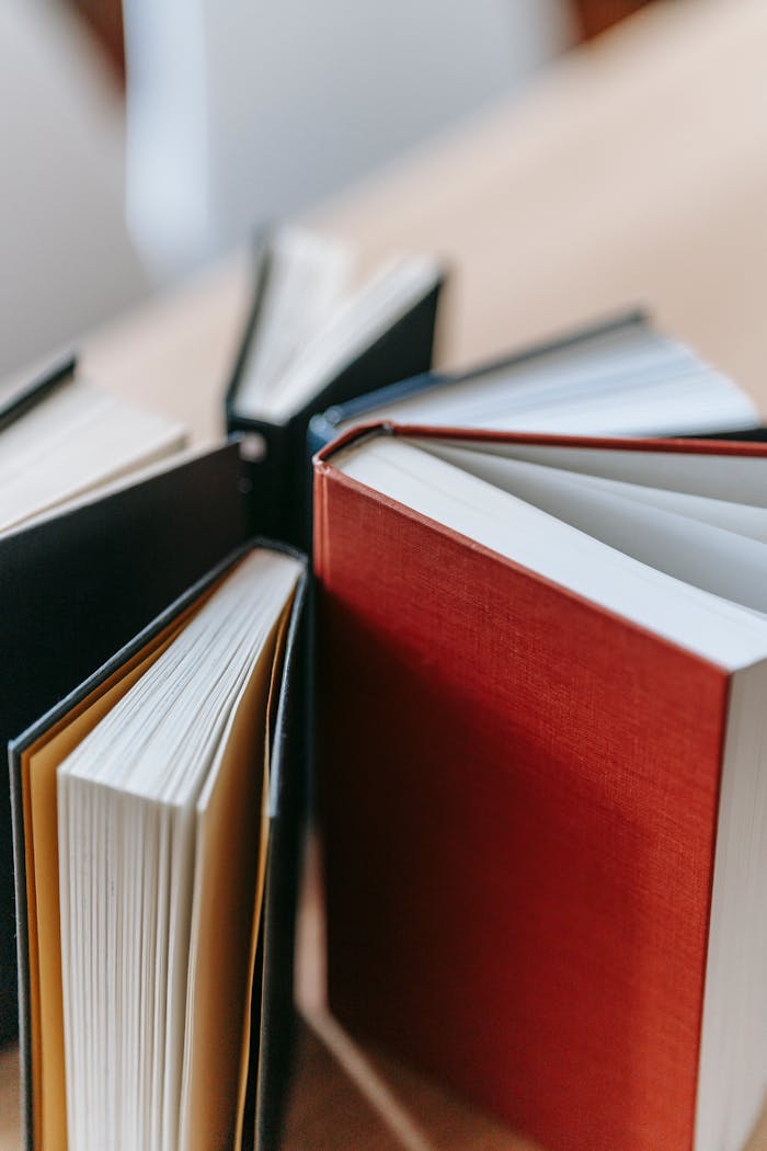 High angle of set of various books placed on wooden desk at home in sunlight